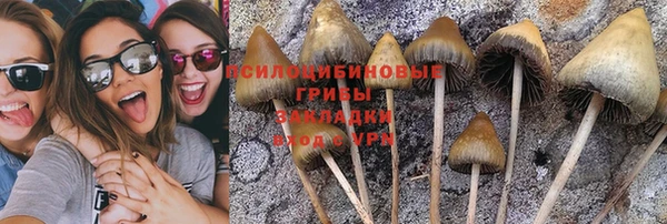 синтетический гашиш Балахна
