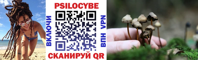 Галлюциногенные грибы Psilocybine cubensis  сайты даркнета клад  Семилуки  где купить наркоту 