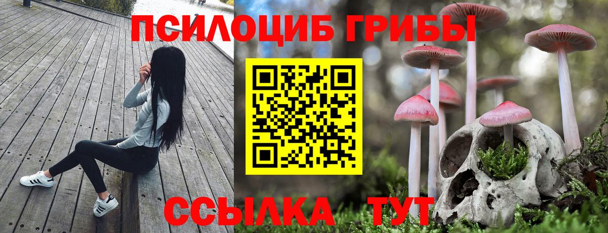 Галлюциногенные грибы GOLDEN TEACHER Семилуки